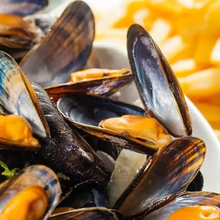 Team - Du Petit Pont Kemp Arvert