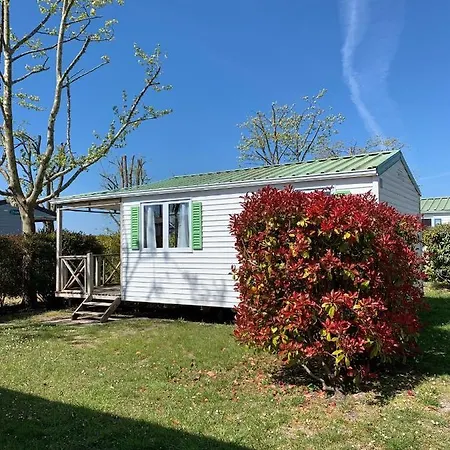 Team - Du Petit Pont