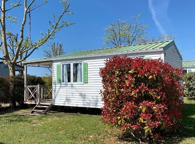 Team - Du Petit Pont